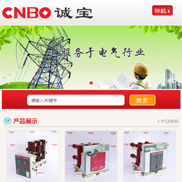 2014年5月，米点科技开始为企业提供微网站服务